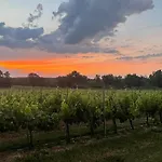 別荘 L'eperonnette, Cozy House With Swimming Pool, Surrounded By Vineyard, Near St Emilion *