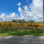 L'eperonnette, Cozy House With Swimming Pool, Surrounded By Vineyard, Near St Emilion 別荘 Vérac