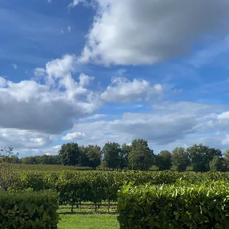 L'eperonnette, Cozy House With Swimming Pool, Surrounded By Vineyard, Near St Emilion 別荘 *