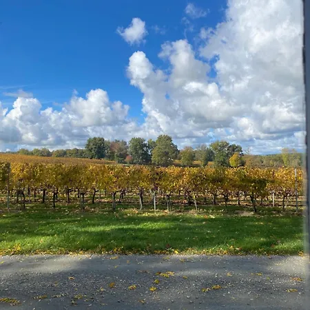 L'eperonnette, Cozy House With Swimming Pool, Surrounded By Vineyard, Near St Emilion 別荘 Vérac