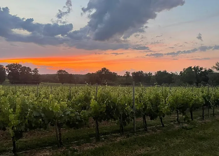펜션 L'eperonnette, Cozy House With Swimming Pool, Surrounded By Vineyard, Near St Emilion *