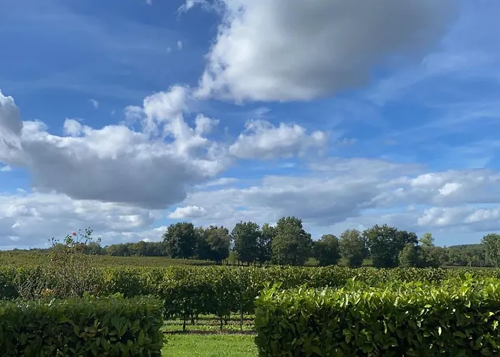 L'eperonnette, Cozy House With Swimming Pool, Surrounded By Vineyard, Near St Emilion 펜션 *