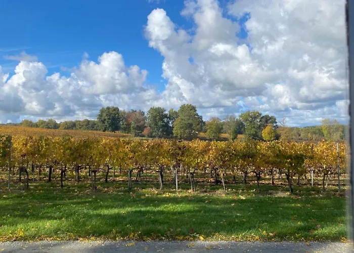 L'eperonnette, Cozy House With Swimming Pool, Surrounded By Vineyard, Near St Emilion 펜션 Vérac