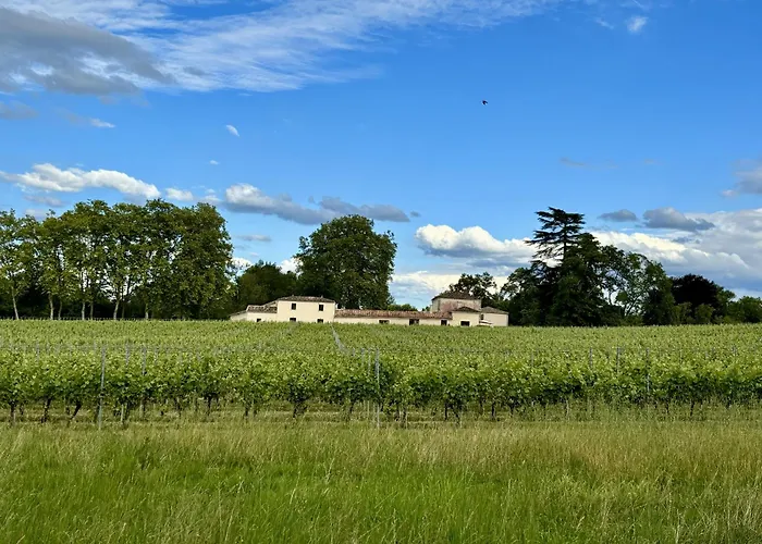 L'eperonnette, Cozy House With Swimming Pool, Surrounded By Vineyard, Near St Emilion 펜션